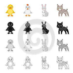 Chicken, baby, bird, and other web icon in cartoon style.Farm, toys, beast, icons in set collection.