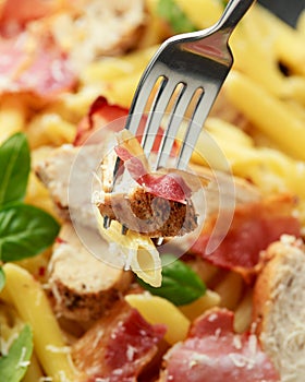 Chicken, bacon Penne pasta with parmesan cheese and basil. healthy food.