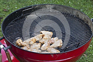 Chicken BBQ Grill