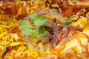 Chicken Biryani close up image