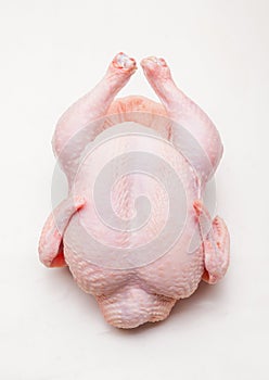 Chicken body