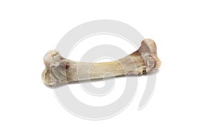 Chicken bone isolated