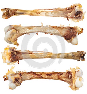 Chicken bones