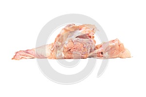 chicken bones isolated on white background