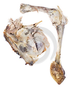 Chicken Bones isolated on white