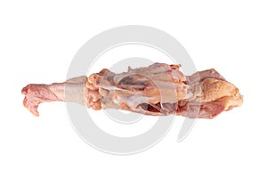 chicken bones isolated on white background