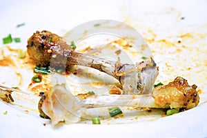 Chicken Bones scraps on white plate