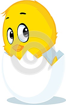 Chicken born from eggshell - vector illustration