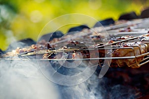 chicken breasts cook on the barbque grill photo