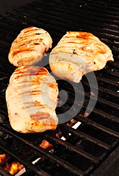 Chicken Breasts on the Ggrill photo