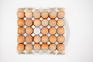 Chicken brown chicken eggs and one white in a carton box isolated on white background from above,top view.