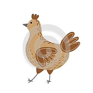 Chicken. Brown hen. Chicken hen. Farm egg laying bird. Flat, cartoon, isolated