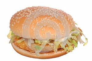 Chicken Burger