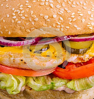 Chicken burger close up
