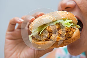 Chicken burger fast food for eat