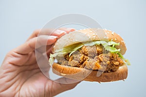 Chicken burger fast food for eat