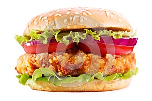 Chicken burger isolated on white background