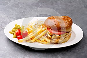 Chicken burger plate with french fries and salad