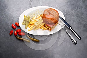 Chicken burger plate with french fries and salad