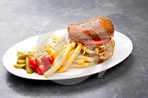 Chicken burger plate with french fries and salad