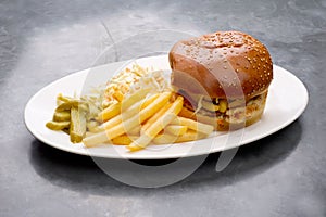 Chicken burger plate with french fries and salad