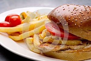 Chicken burger plate with french fries and salad