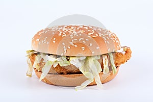 Chicken burger on a white background