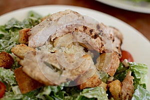 Chicken caesar salad