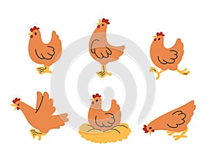 chicken cartoon collection, vector