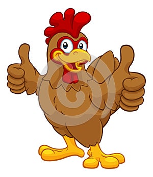 Chicken Cartoon Rooster Cockerel Character