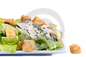 Chicken ceasar salad isolated