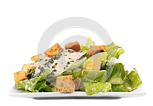 Chicken ceasar salad isolated