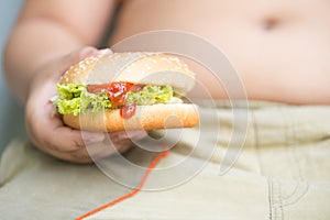 Chicken cheese Hamburger on obese fat boy hand