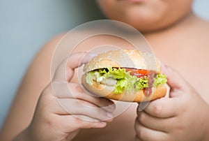 Chicken cheese Hamburger on obese fat boy hand