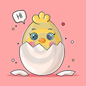 Chicken chick hatched from an egg. Easter 2022.