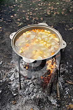 chicken chowder made of chicken wings and vegetables is cooked on a fire during outdoor recreation in a cauldron. In the