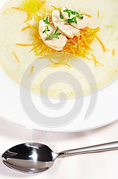 Chicken Consomme Soup