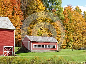 Chicken Coop