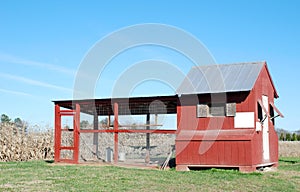 Chicken Coop photo