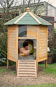 Chicken coop