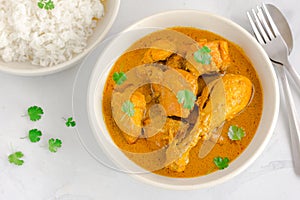 Chicken Curry with Rice Top Down Flat Lay Photo