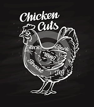 Chicken cuts. template menu design for restaurant, cafe photo