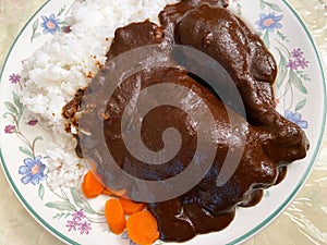 Chicken Drenched in Brown Mole Sauce