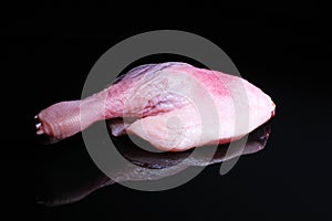 Chicken drumstick meat leg raw food on black reflective studio background. Isolated black shiny mirror mirrored