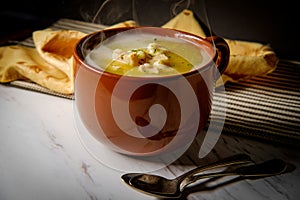 Chicken Dumpling Soup