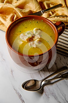 Chicken Dumpling Soup