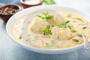 Chicken dumplings soup