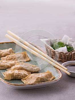 Chicken dumplings tofu skin served on plate with soy sauce