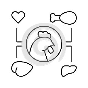 chicken eatery part line icon vector illustration