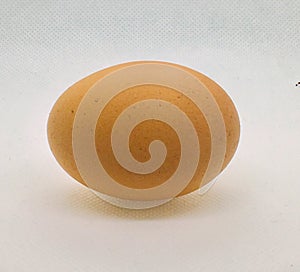 Chicken egg